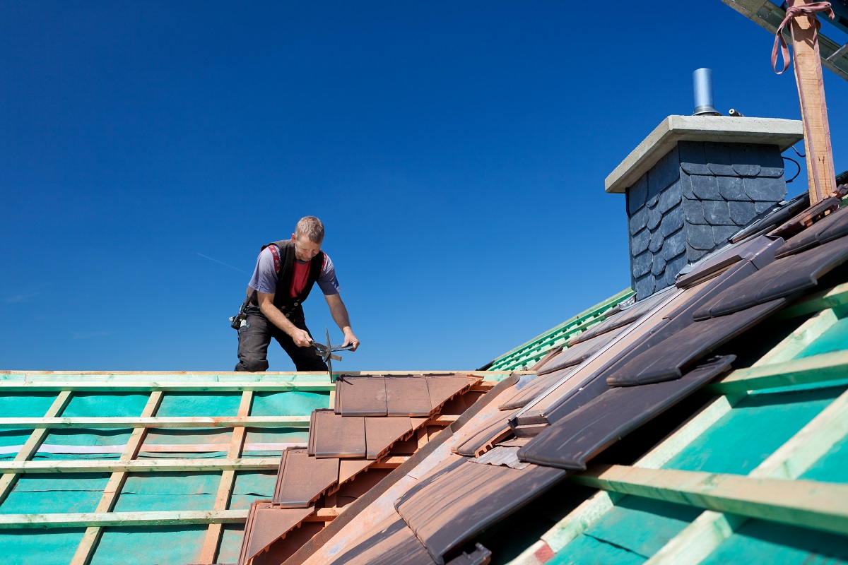 roof cleaners